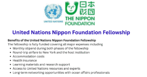 United Nations Nippon Foundation Fellowship