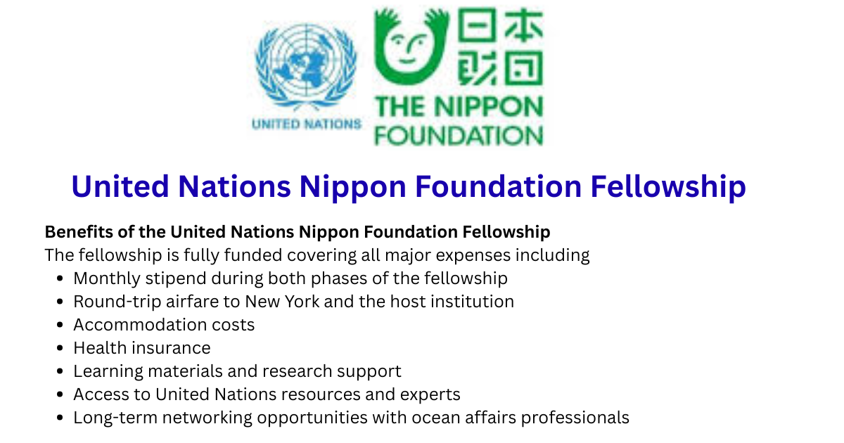 United Nations Nippon Foundation Fellowship