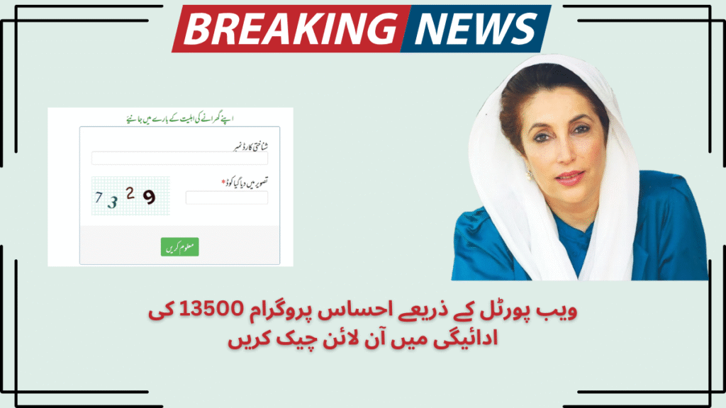 Check Ehsaas Program 13500 Payment Online 2025 Using 8171 Web Portal